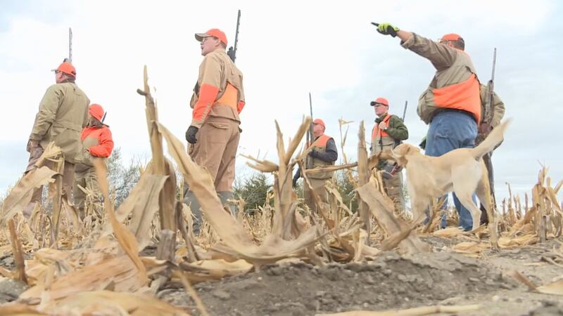 Wood recommends going hunting with someone else.