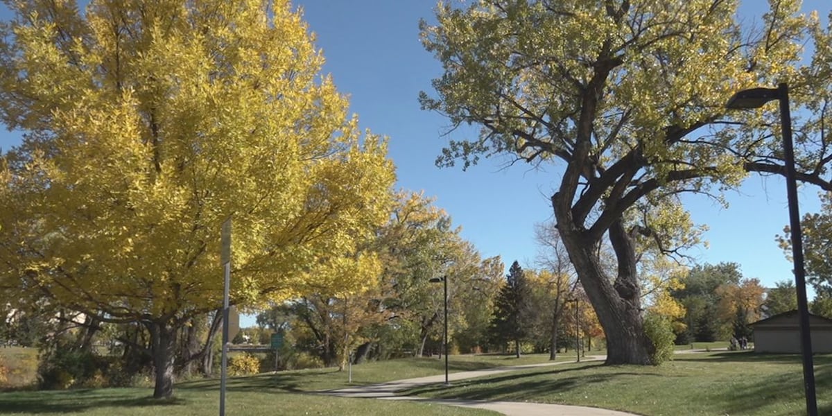 Rapid City parks master plan has strong emphasis on community input