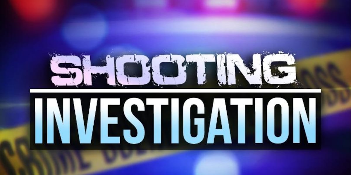 Rapid City police find guns while investigating report of shots fired