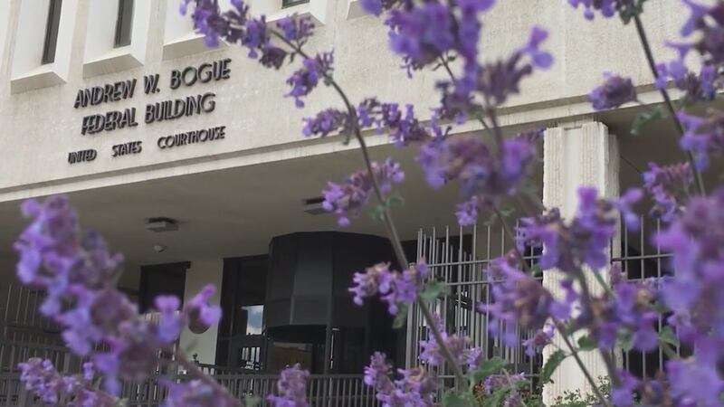 New Holy will remain out of custody until his sentencing.