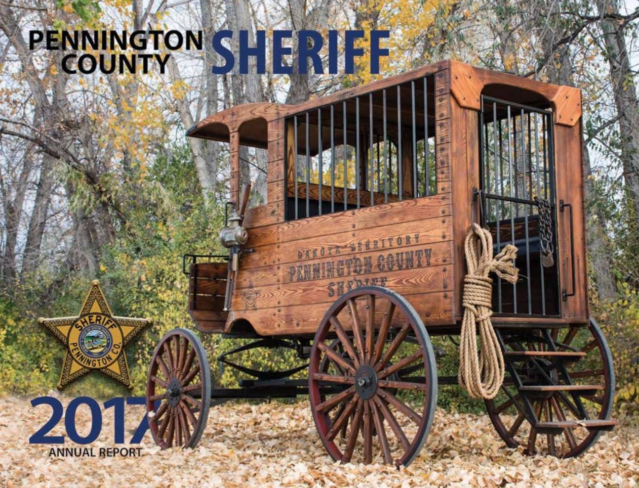 2017 Annual Report picture