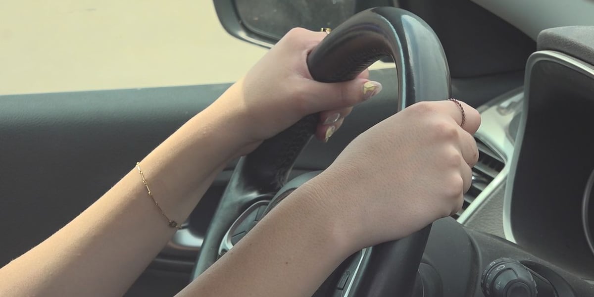 What Should You Do During A Traffic Stop What Should You Do During A Traffic Stop