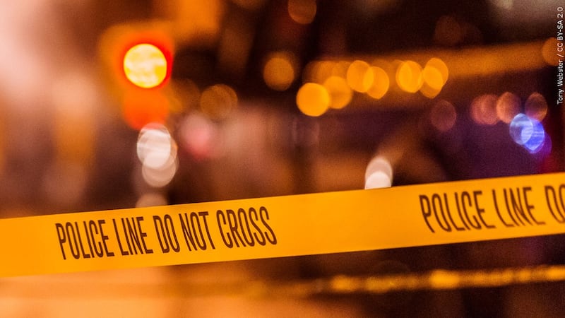 Rapid City police are investigating reports of gunshots early Thursday. Officers found bullet...