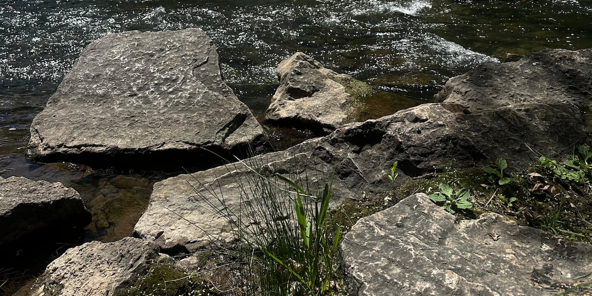 Friends of Rapid City Parks advocates for preserving Rapid City’s Greenway