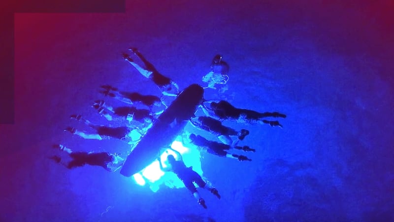 An inside look at the safety of Kona coast manta ray tours