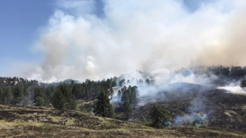Pine Ridge fire flares up to 600-acres; firework named as cause