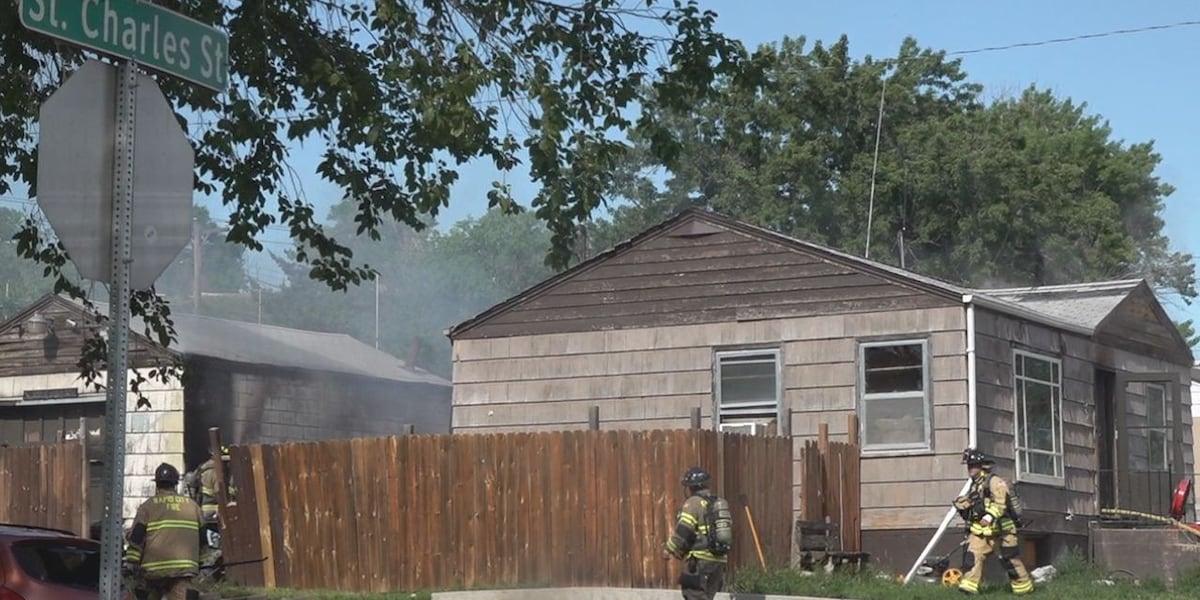 Rapid City house fire, 3 dogs unharmed