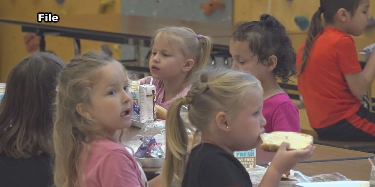 Healthwatch: Tips to give your child a balanced diet