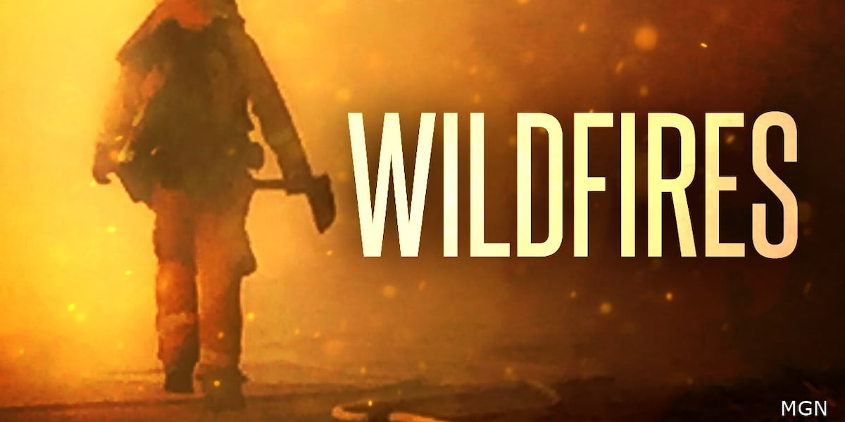 Evacuations in Wyoming as Elk Fire grows to approximately 32,000 acres Evacuations in Wyoming as Elk Fire grows to approximately 32,000 acres