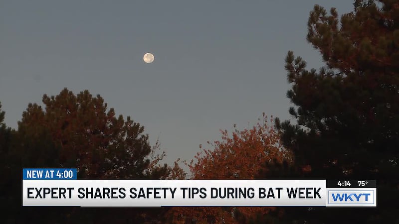 Bat Week highlights furry fliers’ importance to Kentucky